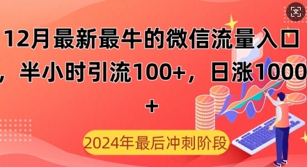 12月最新最牛的微信流量入口，半小时引流100+创业粉，日涨粉1000+ - 163资源网-163资源网