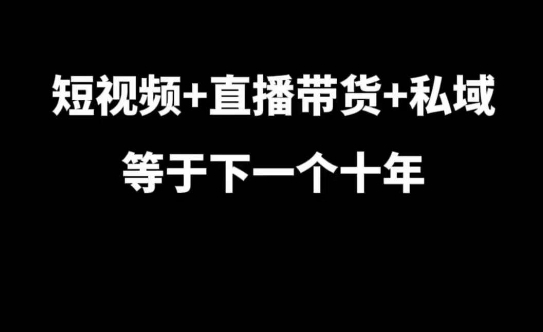 短视频+直播带货+私域等于下一个十年，大佬7年实战经验总结 - 163资源网-163资源网