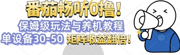 番茄畅听0撸，保姆级玩法与养机教程单设备30-50，矩阵收益翻倍 - 163资源网-163资源网