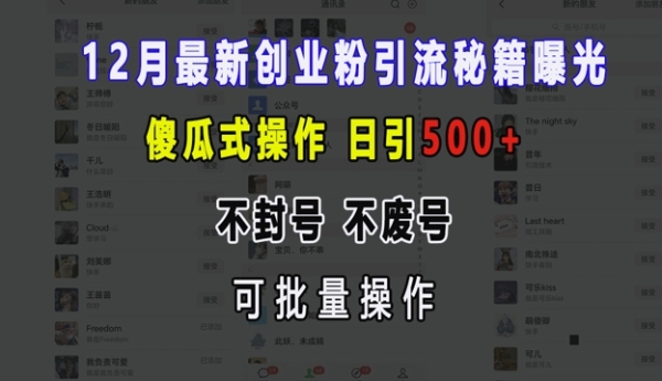 12月最新创业粉引流秘籍曝光 傻瓜式操作 日引500+ 不封号 不废号 可批量操作【揭秘】 - 163资源网-163资源网