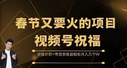 春节又要火的项目视频号祝福，分成计划+带货双收益，轻松月入几个W【揭秘】 - 163资源网-163资源网