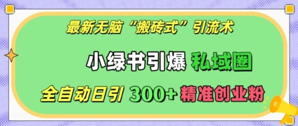 最新无脑“搬砖式”引流术，小绿书引爆私域圈，全自动日引300+精准创业粉【揭秘】 - 163资源网-163资源网