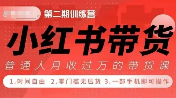 小Red书带货42天训练营 2.0版，宝妈+自由职+上班族+大学生，提高副业收入的大红利项目 - 163资源网-163资源网