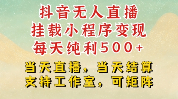 抖音无人直播挂载小程序变现每天纯利500+当天直播，当天结算支持工作室，可矩阵【揭秘】 - 163资源网-163资源网