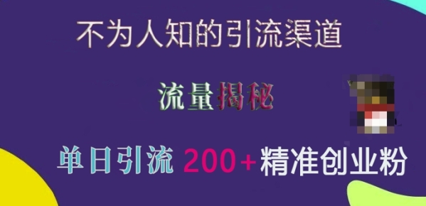 不为人知的引流渠道，流量揭秘，实测单日引流200+精准创业粉【揭秘】 - 163资源网-163资源网