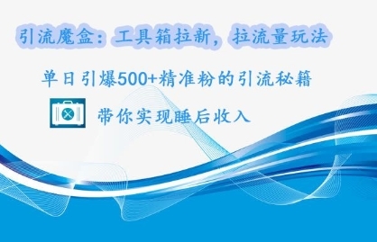 引流魔盒：工具箱拉新，拉流量玩法，单日引爆500+精准粉的引流秘籍 - 163资源网-163资源网