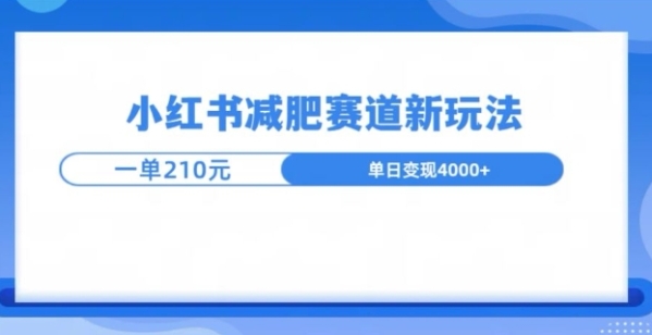 小红书减肥赛道新玩法，引流私域变现嘎嘎猛 - 163资源网-163资源网