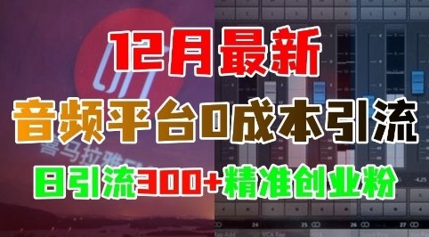 12月最新：音频平台0成本引流，日引流300+精准创业粉 - 163资源网-163资源网