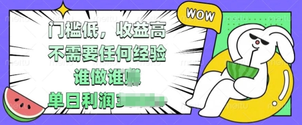 门槛低，收益高，不需要任何经验，谁做谁挣，单日利润多张 - 163资源网-163资源网