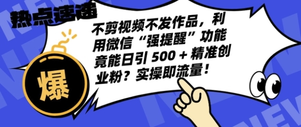 不剪视频不发作品，视频号私信日引 500 + 精准创业粉?实操即流量! - 163资源网-163资源网