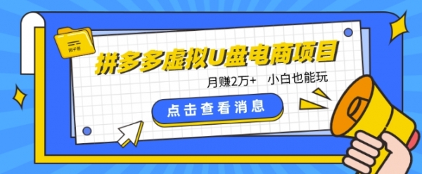 拼多多虚拟U盘电商红利项目：月赚2万+，新手小白也能玩 - 163资源网-163资源网