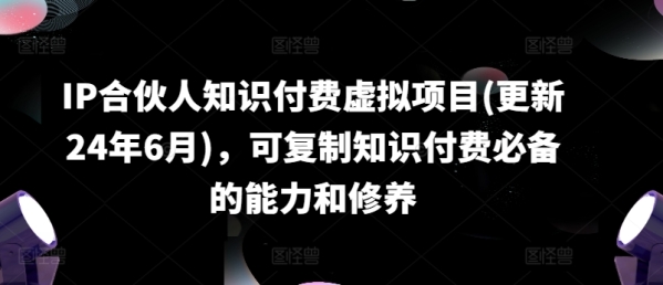 IP合伙人知识付费虚拟项目(更新24年6月)，可复制知识付费必备的能力和修养 - 163资源网-163资源网