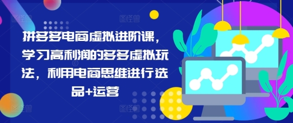 拼多多电商虚拟进阶课，学习高利润的多多虚拟玩法，利用电商思维进行选品+运营 - 163资源网-163资源网