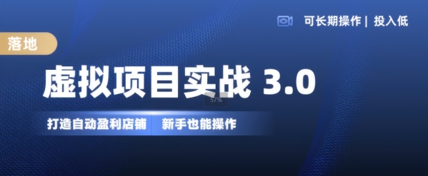 虚拟项目实战3.0，打造自动盈利店铺，可长期操作投入低，新手也能操作 - 163资源网-163资源网