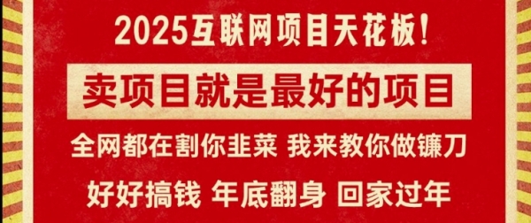 卖项目就是最好的项目，2025年互联网项目天花板 - 163资源网-163资源网