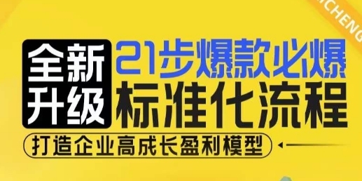 21步爆款必爆标准化流程，全新升级，打造企业高成长盈利模型 - 163资源网-163资源网