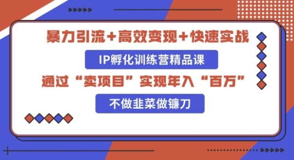 知识付费独家玩法：精准引流+高效变现，简单复制成功模式，最新IP共创导师训练营玩法 - 163资源网-163资源网