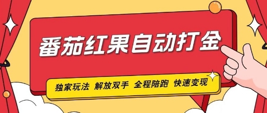 番茄红果独家玩法，单机50-100，可矩阵放大操作轻松，小白轻松上手! - 163资源网-163资源网