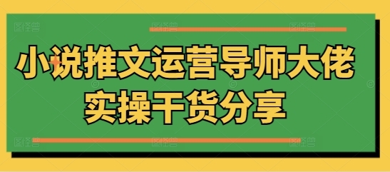 小说推文运营导师大佬实操干货分享 - 163资源网-163资源网