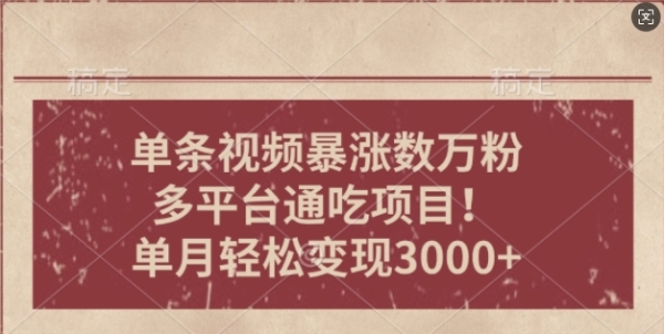 一条作品涨万粉，轻松上手，单月简单变现3000+ - 163资源网-163资源网