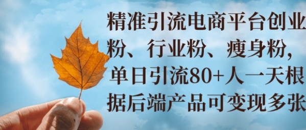 小投资撬动大收益，精准引流创业粉、行业粉，单日引流80+，一天可变现多张 - 163资源网-163资源网