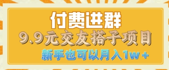 付费进群9.9交友搭子项目，熟练可矩阵操作，月收益过W - 163资源网-163资源网