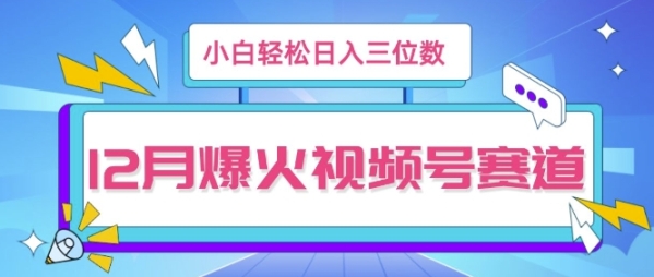 12月视频号爆火赛道，小白无脑操作，也可以轻松日入三位数 - 163资源网-163资源网