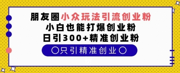 朋友圈小众玩法引流创业粉，小白也能打爆创业粉，日引300+精准创业粉【揭秘】 - 163资源网-163资源网