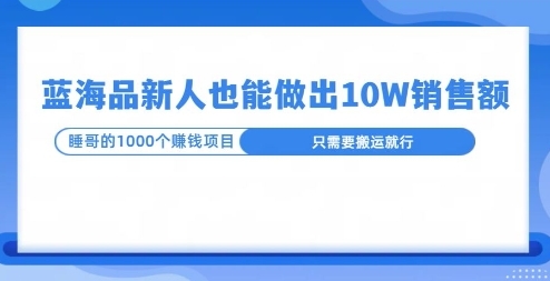 这个蓝海品，新号也能卖出10W的销售额，年底疯狂怼量就能出结果 - 163资源网-163资源网