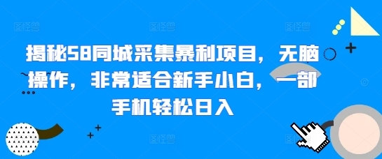 揭秘58同城采集暴利项目，无脑操作，非常适合新手小白，一部手机轻松日入 - 163资源网-163资源网