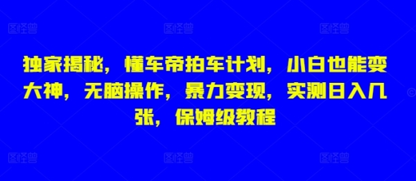 独家揭秘，懂车帝拍车计划，小白也能变大神，无脑操作，暴力变现，实测日入几张，保姆级教程 - 163资源网-163资源网