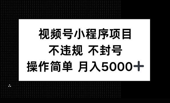 视频号小程序项目，不违规不封号，操作简单 月入5000+ - 163资源网-163资源网