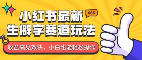 小红书最新生僻字赛道玩法，收益高见效快，小白也能轻松操作 - 163资源网-163资源网