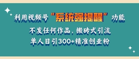 利用微信视频号系统提醒功能，引流精准创业粉，无需发布任何作品，单人单日引流300+创业粉 - 163资源网-163资源网