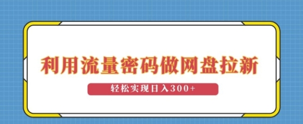 利用流量密码做网盘拉新，操作简单适合0基础小白，轻松实现日入3张 - 163资源网-163资源网