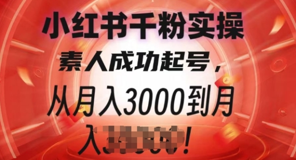 小红书千粉实操课，素人成功起号，从月入3000到月入过W - 163资源网-163资源网