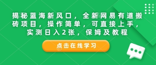 揭秘蓝海新风口，全新网易有道搬砖项目，操作简单，可直接上手，实测日入2张，保姆及教程 - 163资源网-163资源网