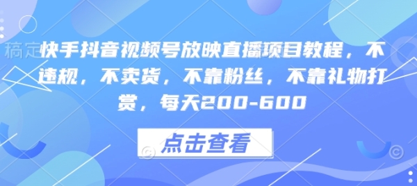 快手抖音视频号放映直播项目教程，不违规，不卖货，不靠粉丝，不靠礼物打赏，每天200-600 - 163资源网-163资源网