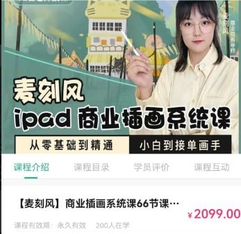 Ipad商业插画从小白到接单画手 - 带笔刷课件 - 163资源网-163资源网