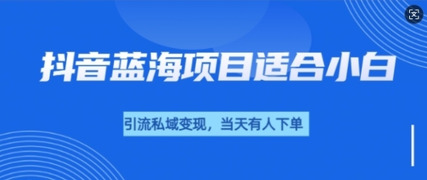 抖音蓝海小赛道私域变现项目，单价9.9单天变现100+，实操玩法分享给你 - 163资源网-163资源网