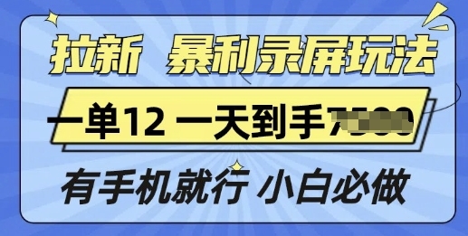 拉新暴利录屏玩法，一单12块，有手机就行，小白必做 - 163资源网-163资源网