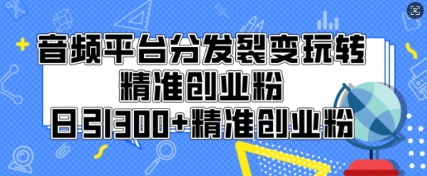 音频平台分发裂变玩转创业粉，日引300+精准创业粉 - 163资源网-163资源网