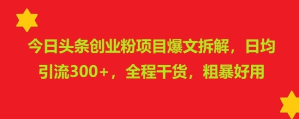 今日头条创业粉项目爆文拆解，日均引流300+，全程干货，粗暴好用 - 163资源网-163资源网