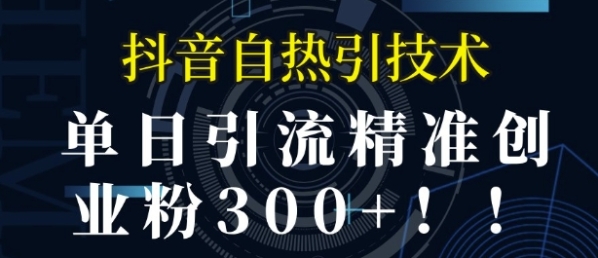 抖音自热引流，单日引流精准创业粉300+ - 163资源网-163资源网