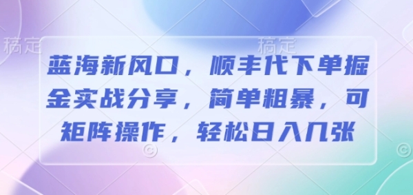 蓝海新风口，顺丰代下单掘金实战分享，简单粗暴，可矩阵操作，轻松日入几张 - 163资源网-163资源网