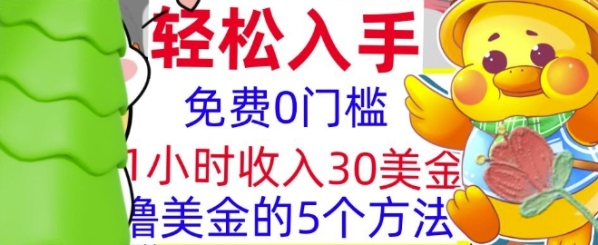 免费撸美刀的5个方法，1小时收入30美刀，0门槛，轻松入手 - 163资源网-163资源网