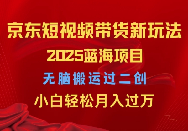 2025京东短视频带货新玩法，无脑搬运过二创，小白轻松月入过W - 163资源网-163资源网