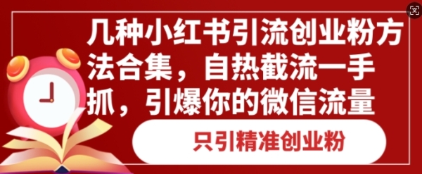 几种小红书引流创业粉方法合集，自热截流一手抓，引爆你的微信流量 - 163资源网-163资源网