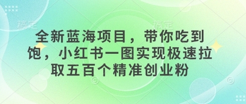 全新蓝海项目，带你吃到饱，小红书一图实现极速拉取五百个精准创业粉 - 163资源网-163资源网