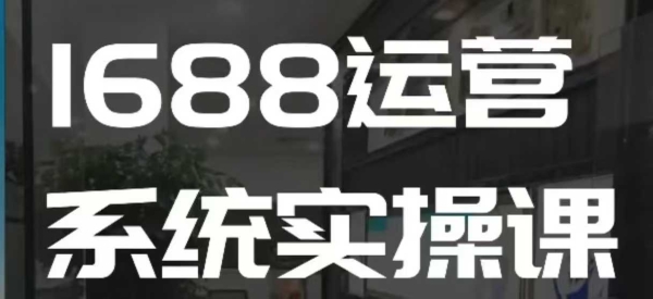 1688高阶运营系统实操课，快速掌握1688店铺运营的核心玩法 - 163资源网-163资源网